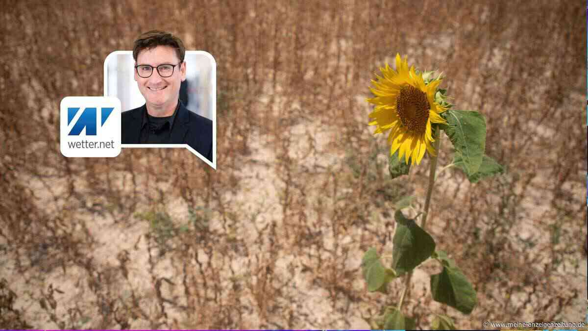 Aus Jahrzehnten wurden Tage: Was der Extremsommer 2026 über Deutschlands Klimazukunft verrät