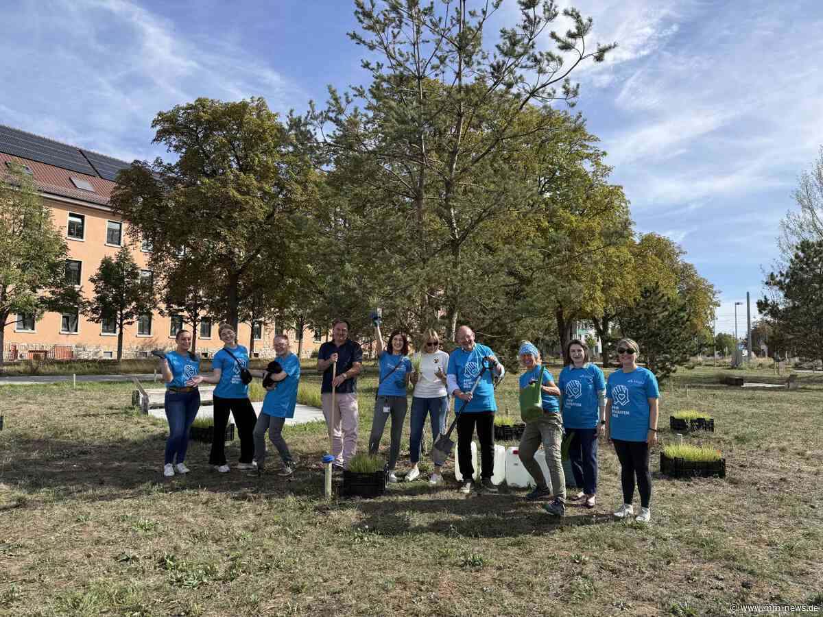 Mannheim – Erfolgreiche Freiwilligentage!
