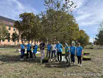 Mannheim – Erfolgreiche Freiwilligentage!