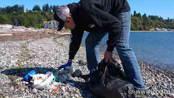 Jurisdictional confusion enables illegal dumping at Tsawwassen beach: advocate