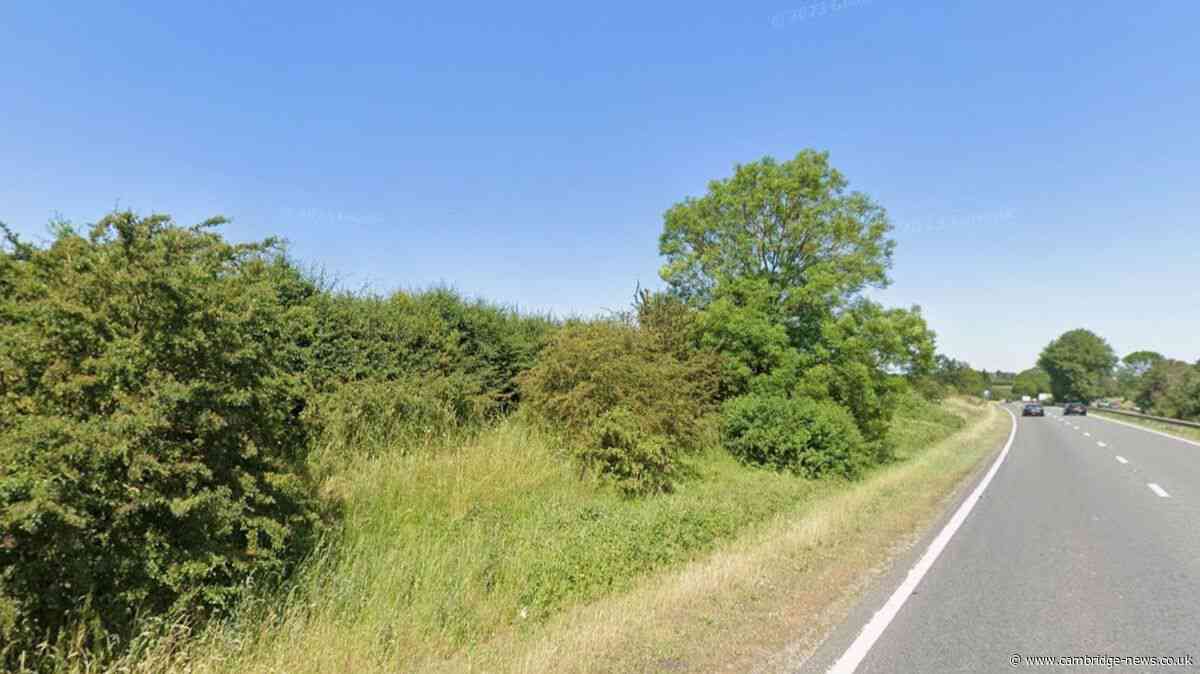 Solar farm will be built on 'poorest performing' farmland near small Cambridgeshire village