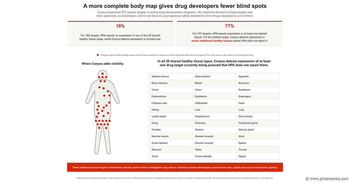 Ambitious Bio Launches Corpus™ -- World's Largest Healthy Human Protein Atlas to Give AI a More Complete Map of the Human Body