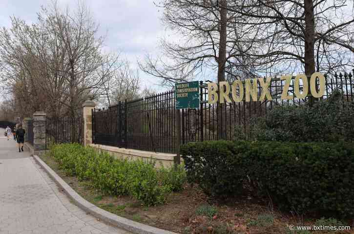 What’s happening | Plant sale, scavenger hunt, Boogie Down Comedy and more