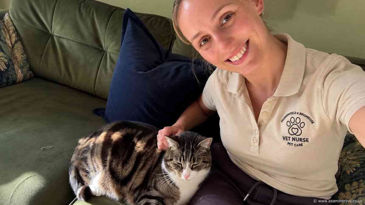 Huddersfield vet nurse up for national award - 'I was genuinely shocked'