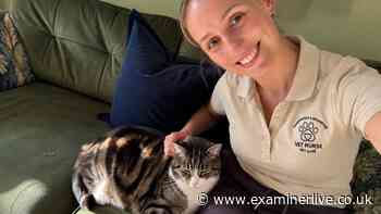 Huddersfield vet nurse up for national award - 'I was genuinely shocked'