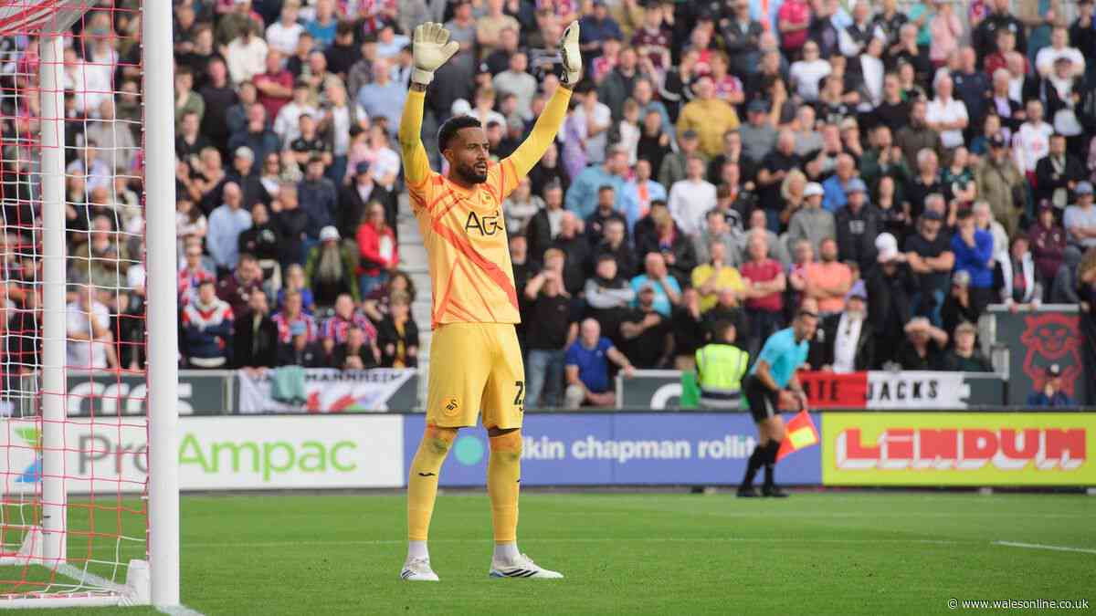 Swansea City player ratings so far as new duo shine and one star now undroppable