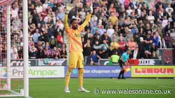 Swansea City player ratings so far as new duo shine and one star now undroppable