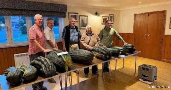 Man with massive marrow invites others to show off theirs