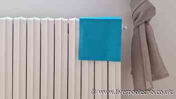 Clean dust from your radiator quickly using a common household item