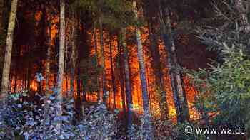 Waldbrandgefahr wächst stark: Europas Kinder erleben weit mehr Extremtage als die Großeltern