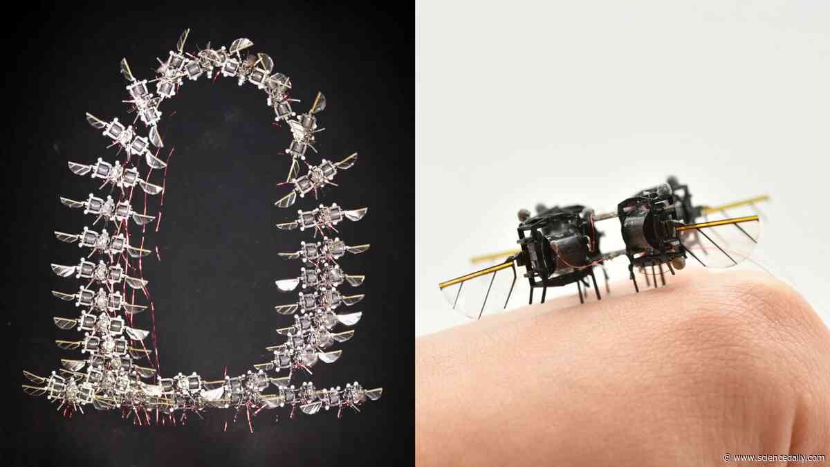 MIT’s tiny flying robot gets 450% faster with AI