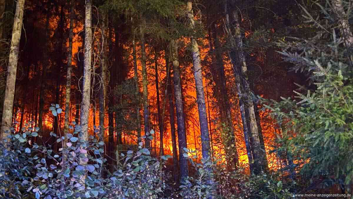 Waldbrandgefahr wächst stark: Europas Kinder erleben weit mehr Extremtage als die Großeltern