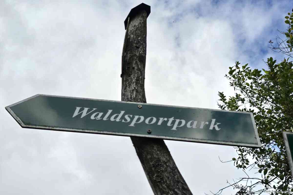Waldsportparklauf in Cämmerswalde: Neue Strecken beim Crosslauf im Erzgebirge