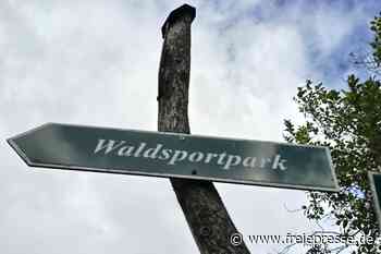 Waldsportparklauf in Cämmerswalde: Neue Strecken beim Crosslauf im Erzgebirge
