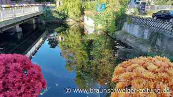 Bauarbeiten in Wolfenbüttel: Hier wird die Oker für drei Wochen abgesenkt