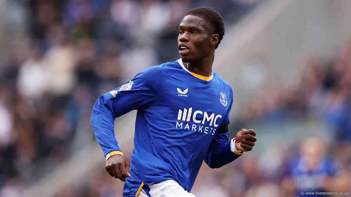 David Moyes will be 'worried' over Thierno Barry but Everton now have 'a formidable barrier'