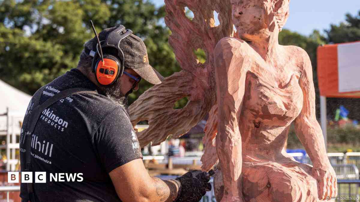 Pole climbers and chainsaw artists to compete at show