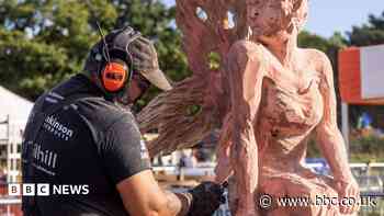 Pole climbers and chainsaw artists to compete at show