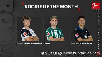 Rookie des Monats September: Gib deine Stimme ab!
