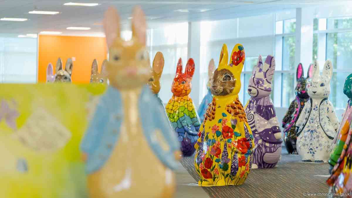 Peter Rabbit farewell event in Newcastle offers chance to see all sculptures together - and win one