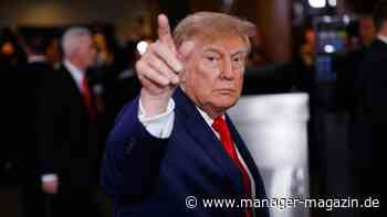 Donald Trump: US-Präsident vergleicht KI-Skeptiker mit Umweltaktivisten
