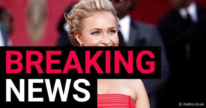 Hayden Panettiere’s cause of death confirmed after fentanyl speculation