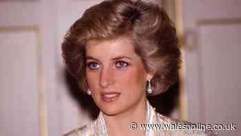 Princess Diana's brother claims 'hatchet-faced' nanny 'slammed her head against wall'