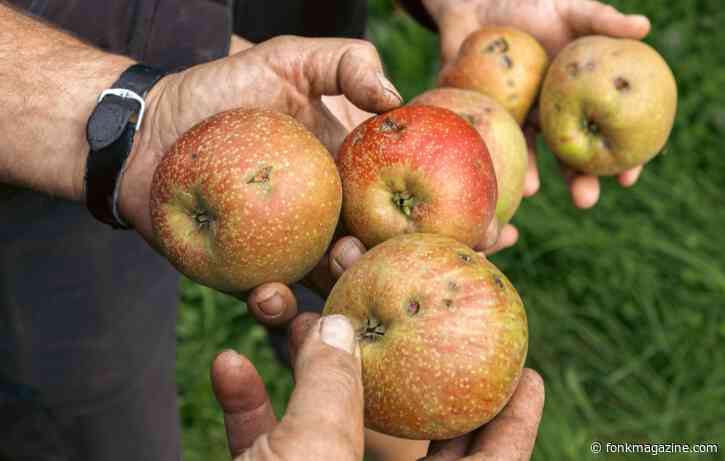 No Waste Army roept mensen op zelf appels en peren te komen plukken om voedselverspilling tegen te gaan