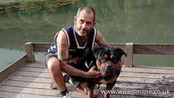 Missing Rhondda dad found partially submerged in wooded marshland
