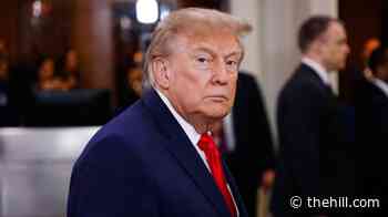 Trump tells CNN's Collins 'you shouldn't be here' on way into UN