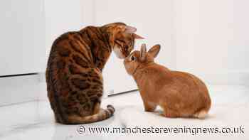 Major change affecting all pet owners to be rolled out over next 12 months