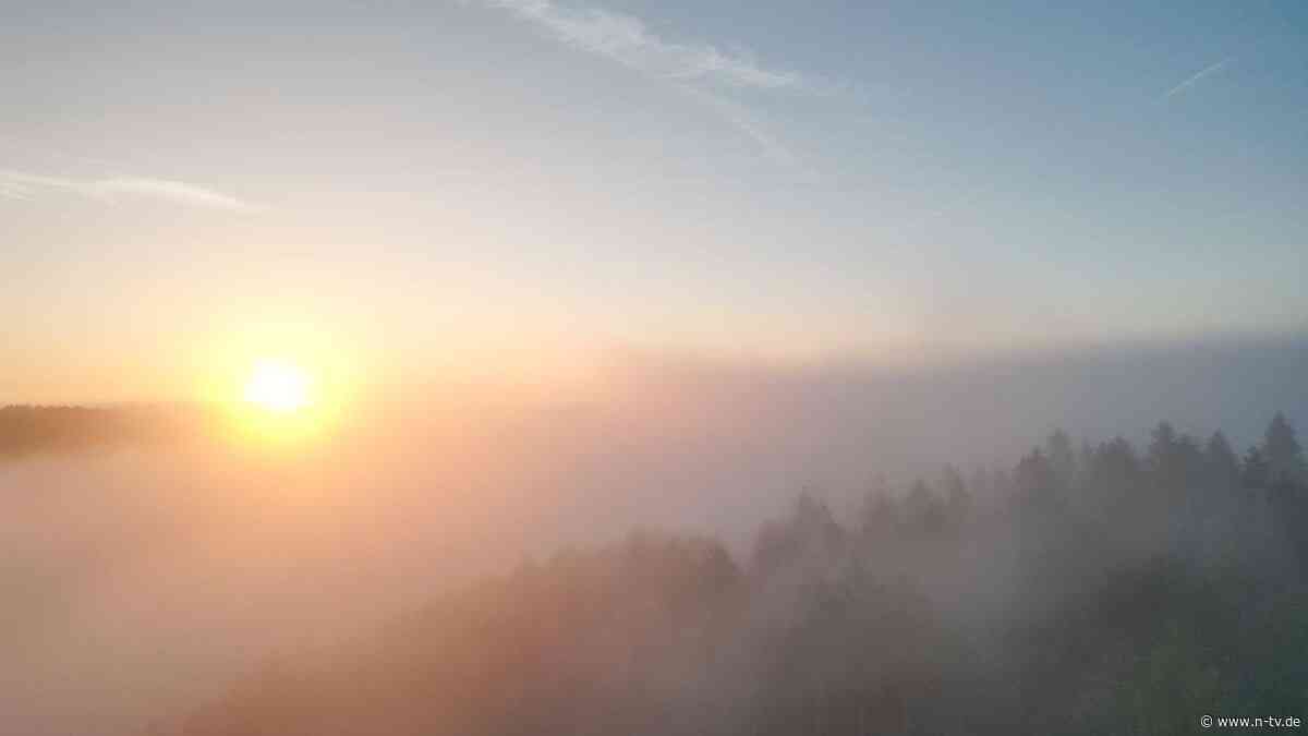 Astronomisches Ereignis: Mit dem Äquinoktium beginnt der Herbst - und der Frühling