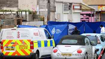 Retired engineer dies in Porthcawl campervan fire
