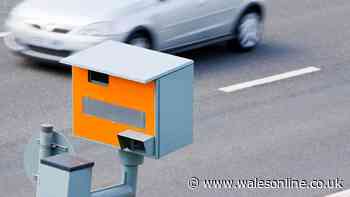 DVLA update on 'invisible' number plates evading speed cameras - key details