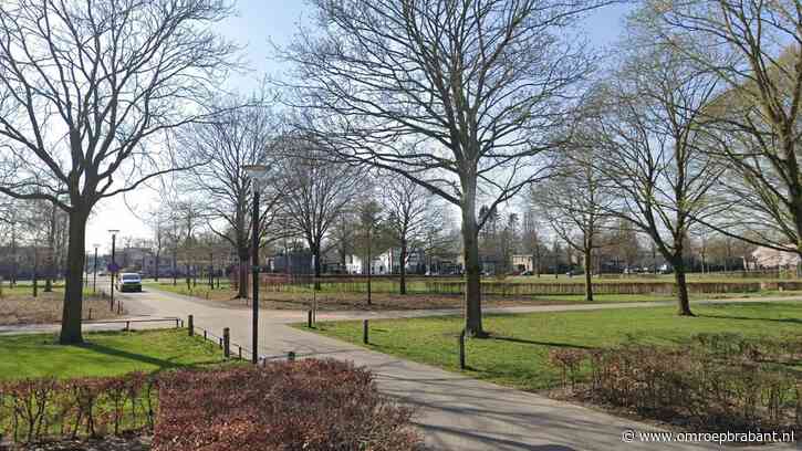 Overlast door jongeren in Uden verplaatst naar park: gemeente grijpt in