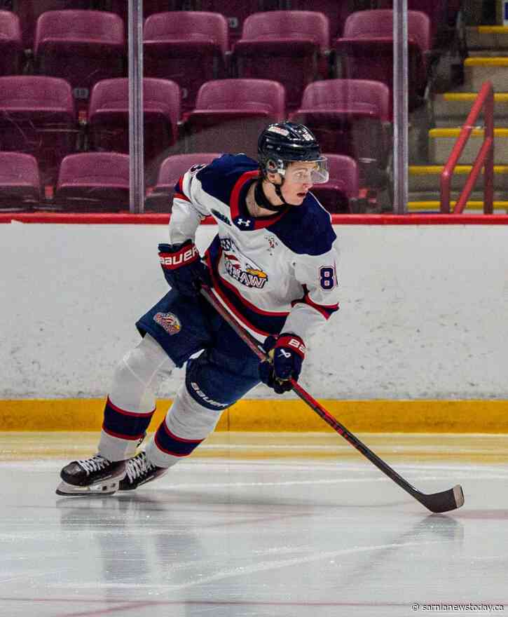 Sting acquire Sarnia native from Saginaw