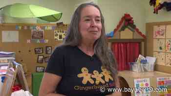 A+ Teacher helps young students learn through puppet shows
