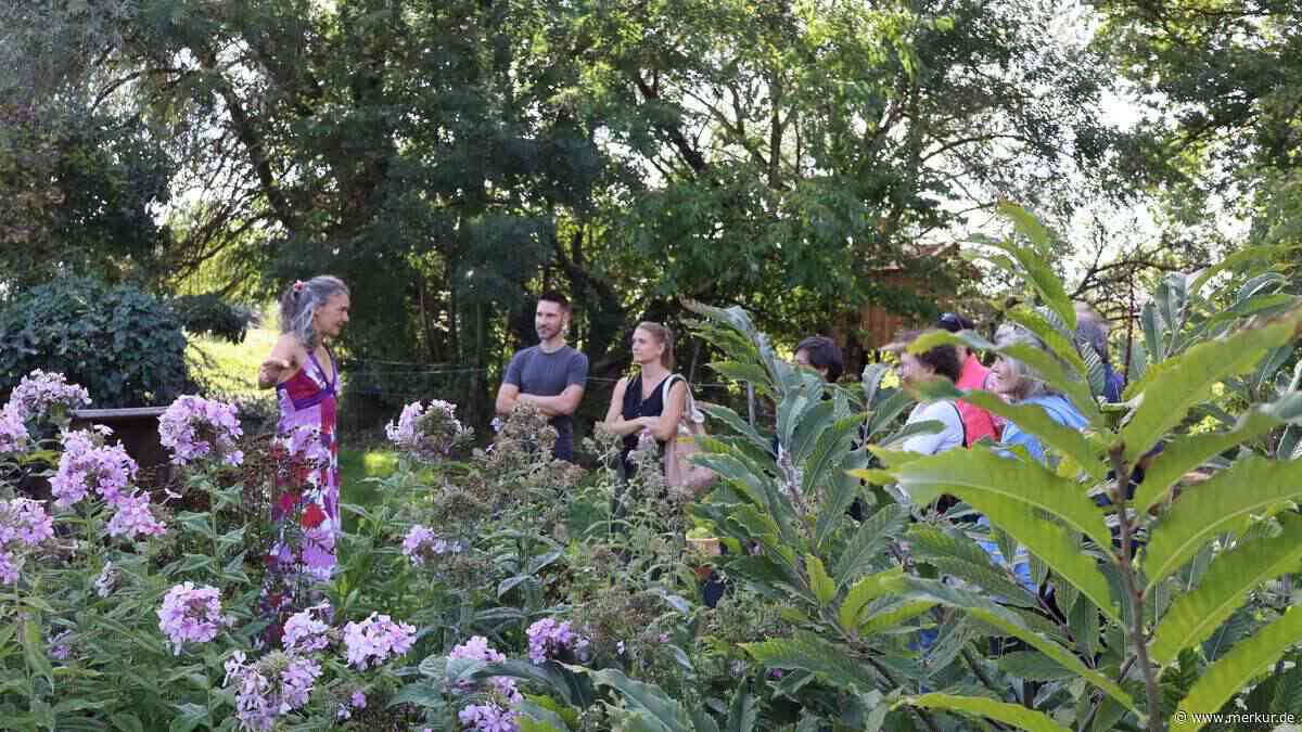 Erntedank beim Gartenwinkeltag: Hunderte alte Apfelbäume und fast vergessene Sorten