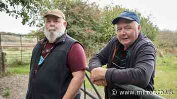 Devon farmers at war, 'I shot neighbour's wild boar and served it for supper'