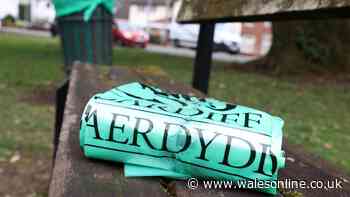 The Cardiff postcodes getting another recycling bin