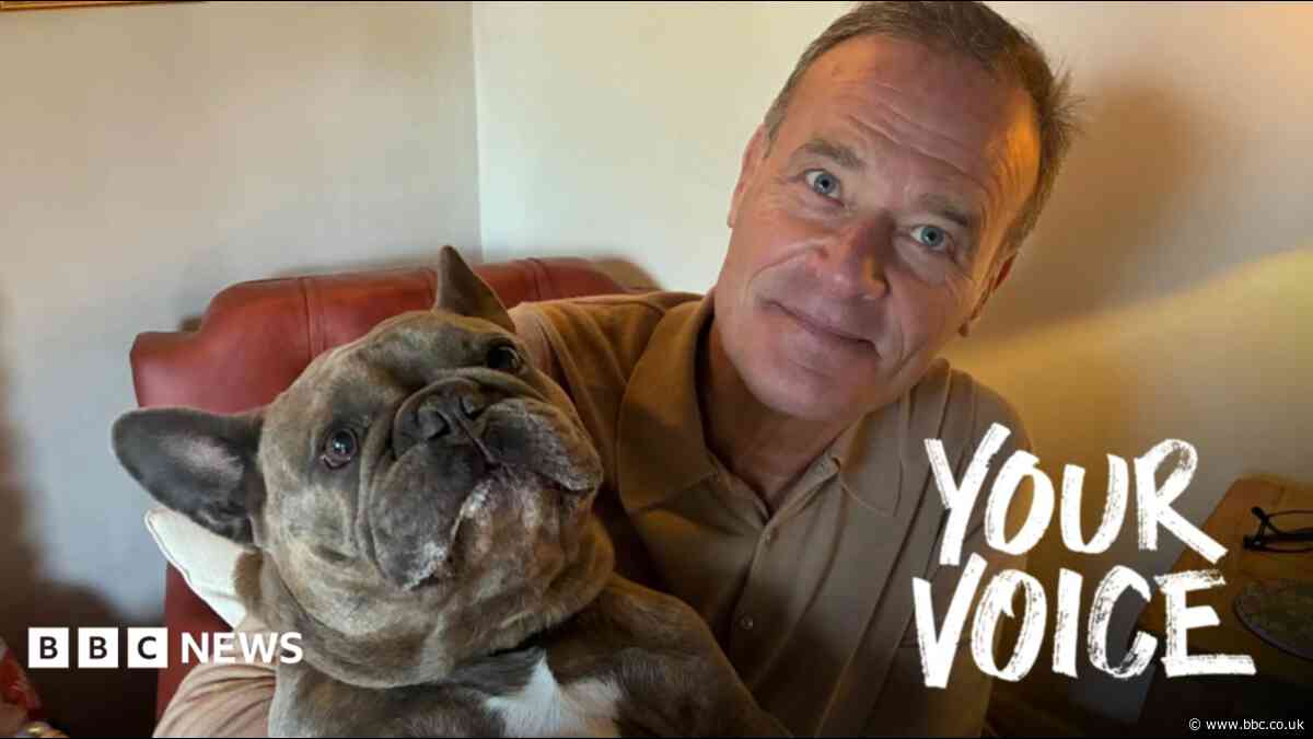 Are vet bills about to get cheaper?