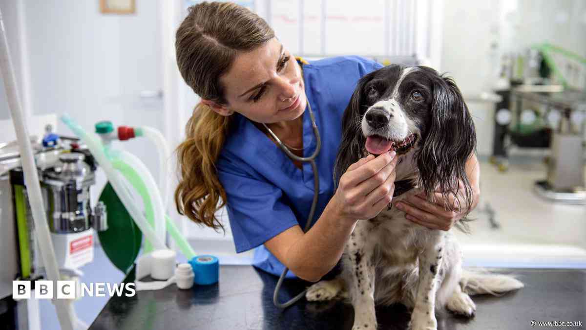 Vet prescription fees capped under rule changes