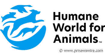Humane World for Animals Commends FDA for removing animal testing references from drug regulations