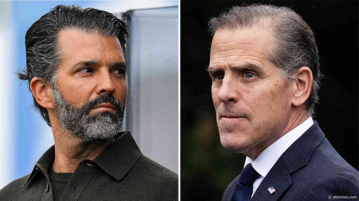 GOP senator calls for Judiciary Committee to subpoena Donald Trump Jr. and Hunter Biden