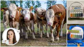 Gewöhnlicher Stallgeruch oder Gefahr für die Gesundheit: Wo bleiben die belastbaren Belege?