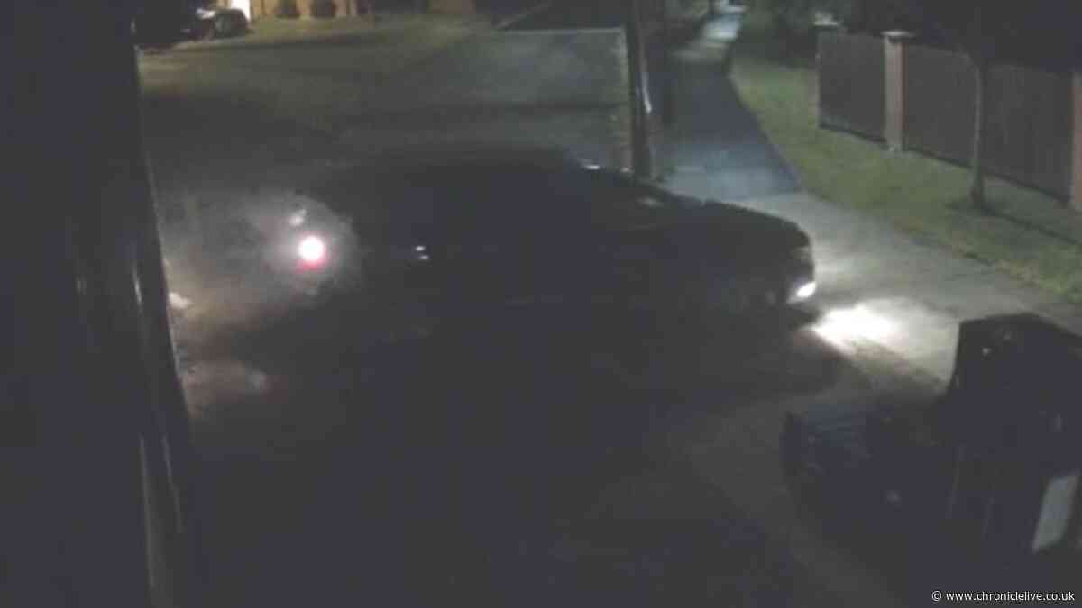 Footage shows Newcastle thieves steal animal ambulance from car wash then use it to ram raid shop