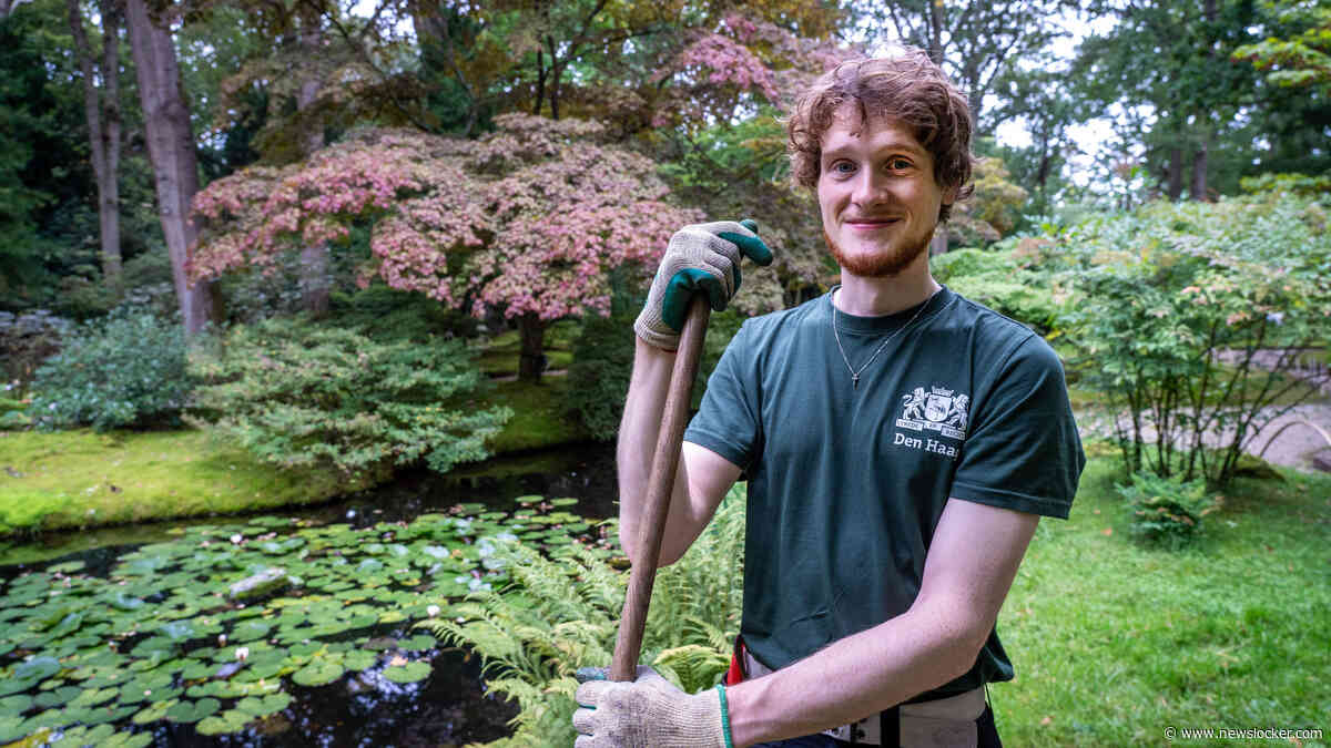 Japanse tuin in herfstkleuren kan bezoekersstroom nauwelijks aan: tijdslot reserveren verplicht