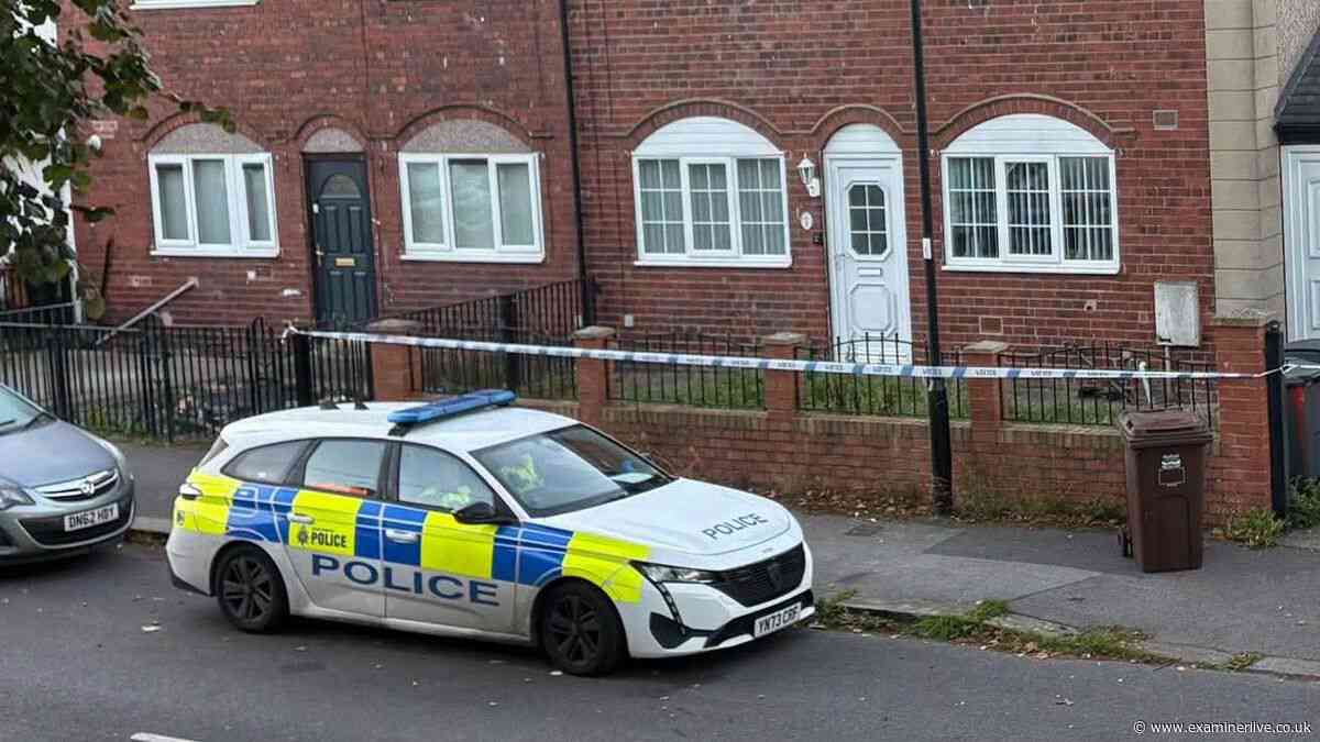 Armed police in dawn raid on Sheffield street