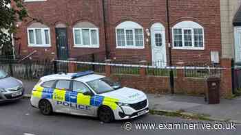 Armed police in dawn raid on Sheffield street