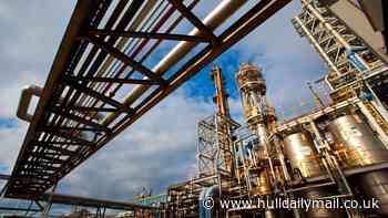 MP seeks urgent meeting with Ministers as Ineos halts production at Hull plants